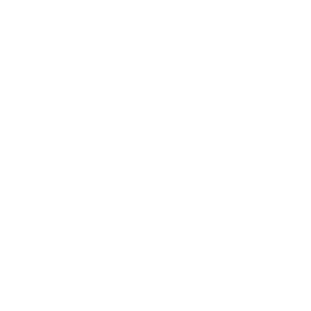 Instagram Icon